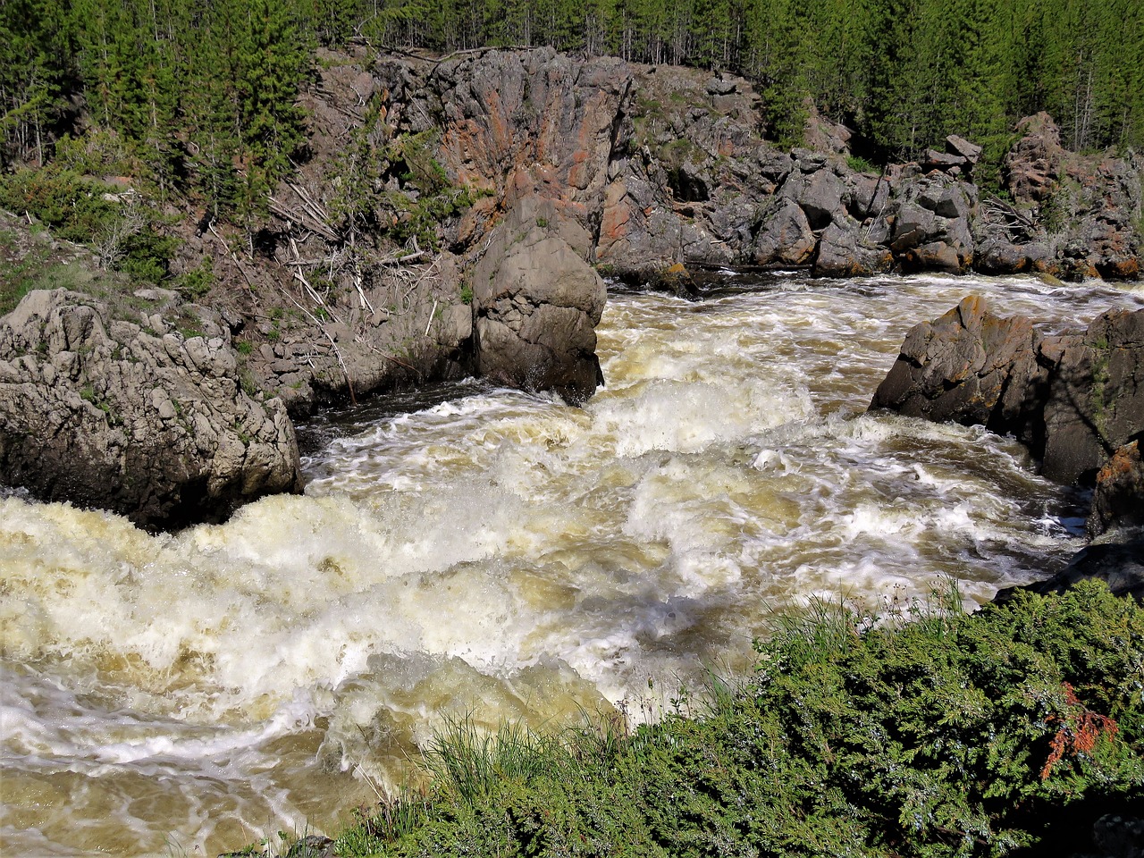 rapids  wyoming  wild river free photo