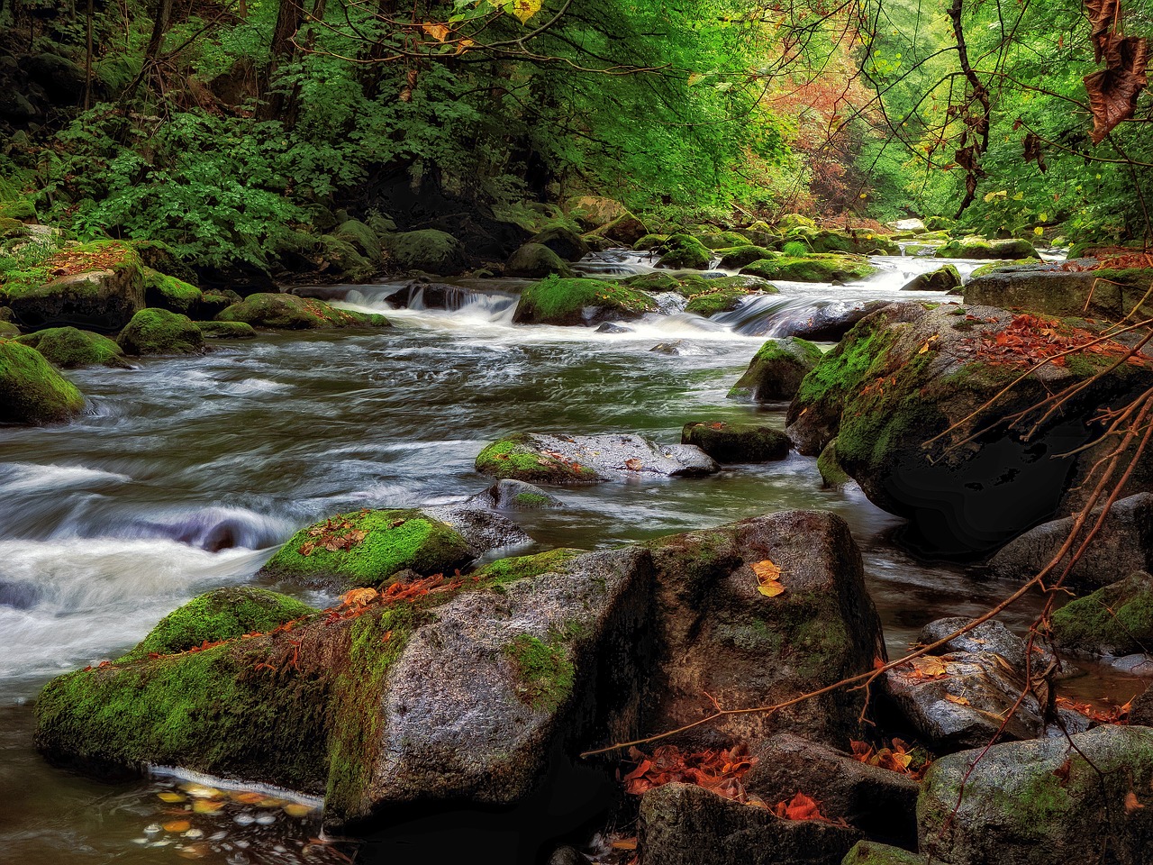 rapids  river  water free photo