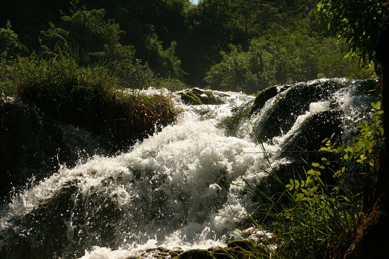 rapids water clear free photo