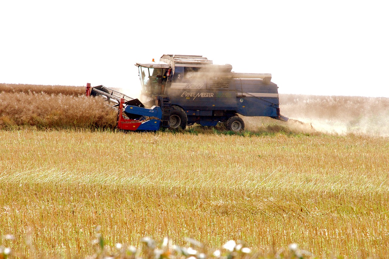 rapsernte combine harvester agriculture free photo