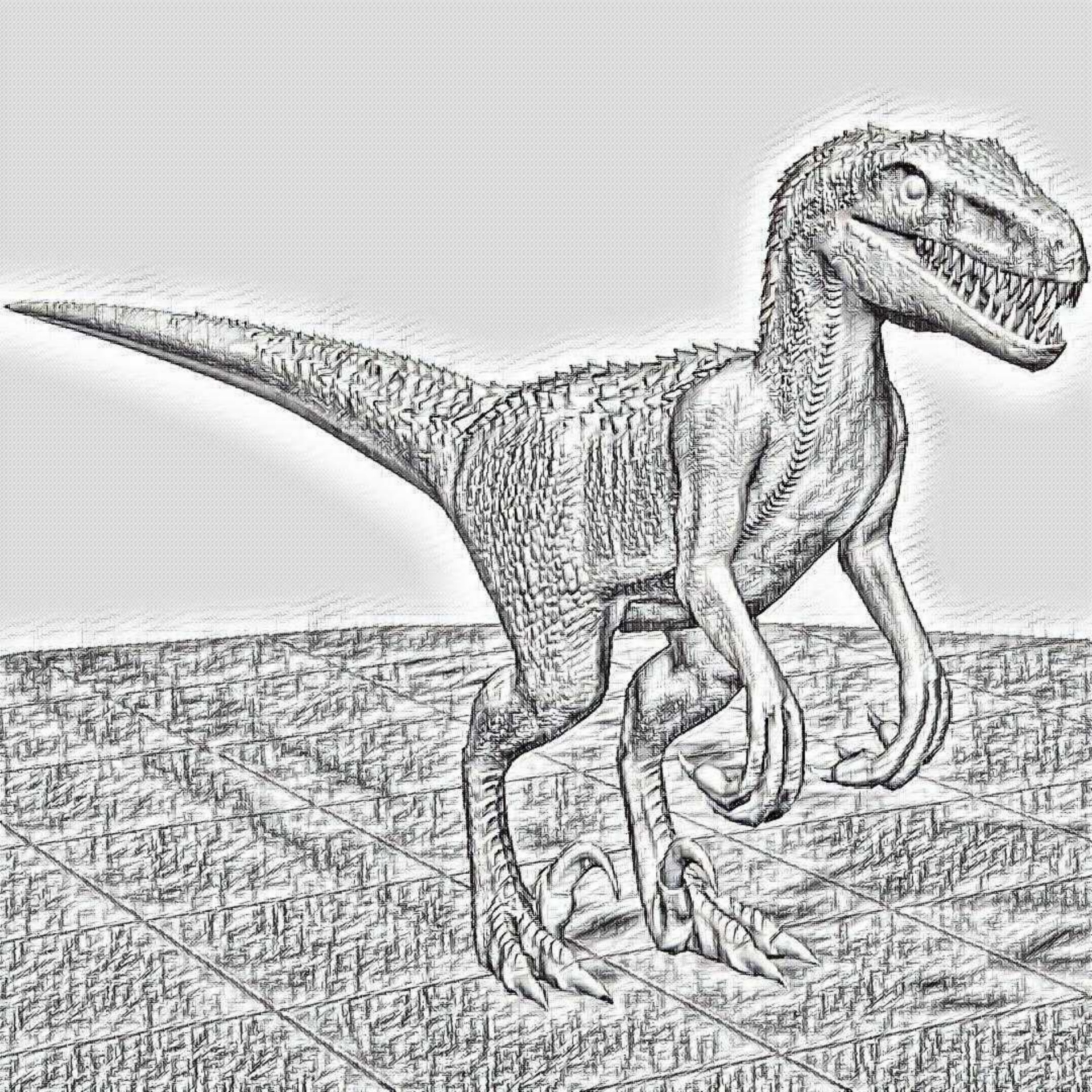 raptor pencil drawing free photo
