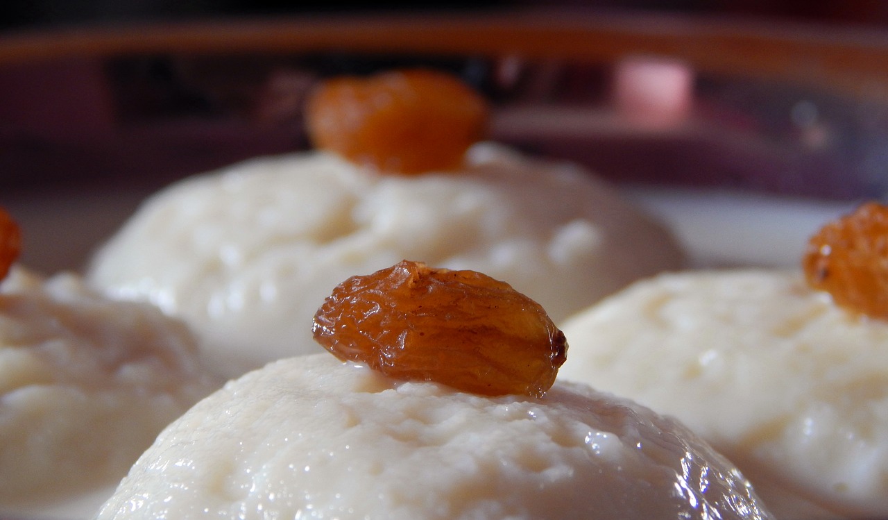 ras-malai  bengali  sweet dish free photo