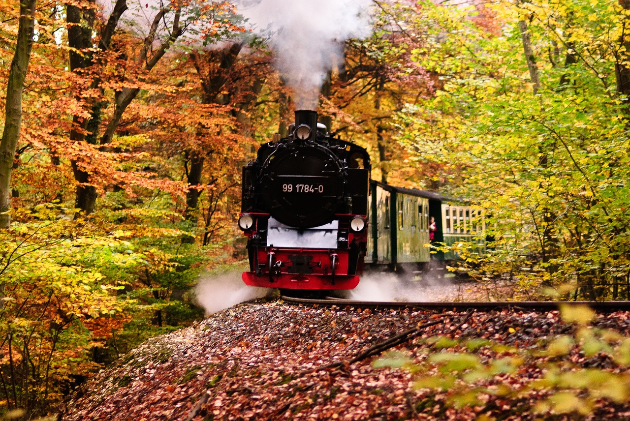 rasender roland rügen railway free photo