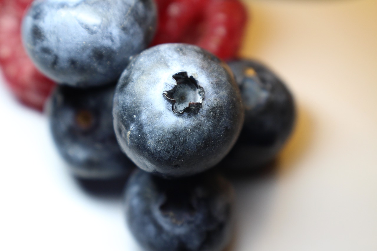 raspberries blueberries fruit free photo
