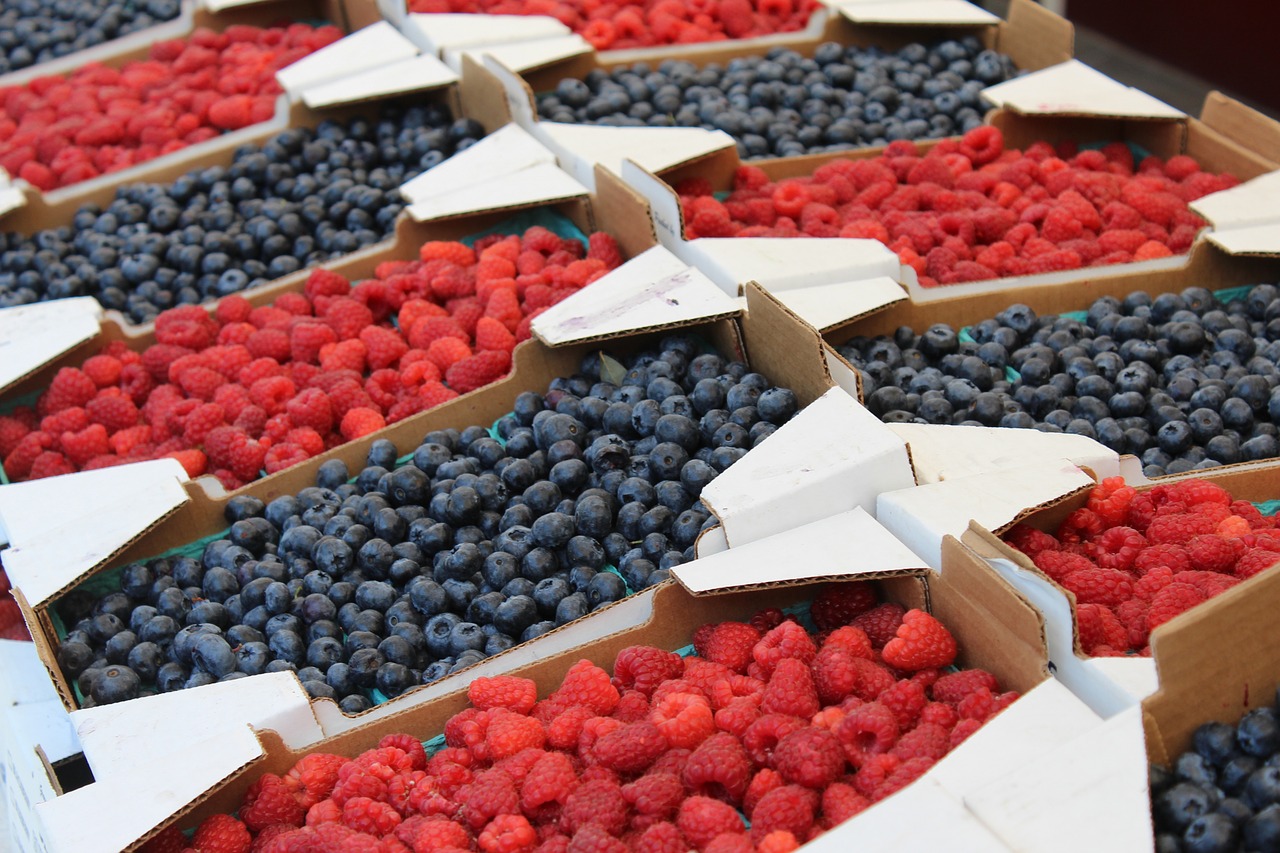 raspberries blueberries berries free photo