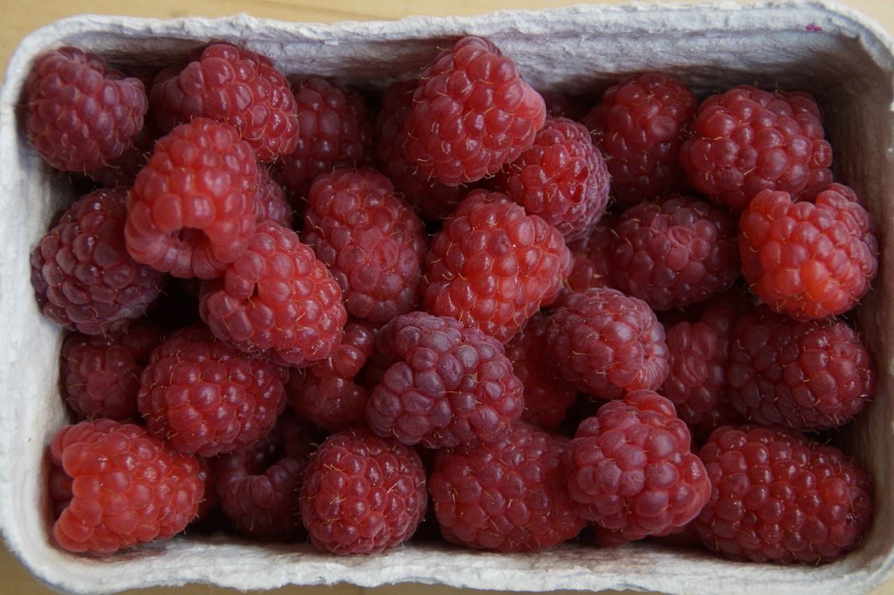 raspberries shell shopping free photo