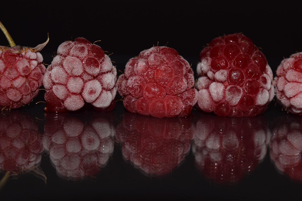 raspberries frozen frosted free photo