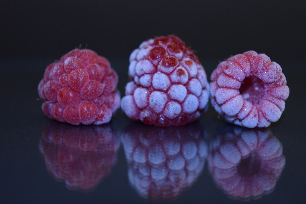 raspberries red close free photo