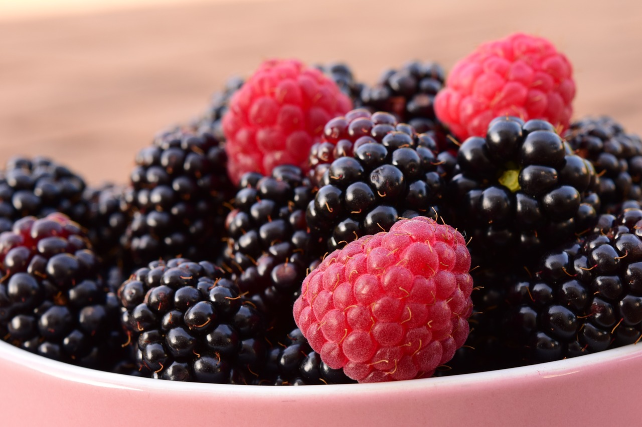 raspberries blackberries fruits free photo