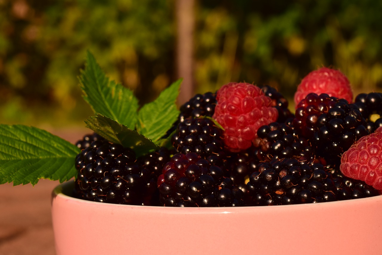 raspberries blackberries fruits free photo