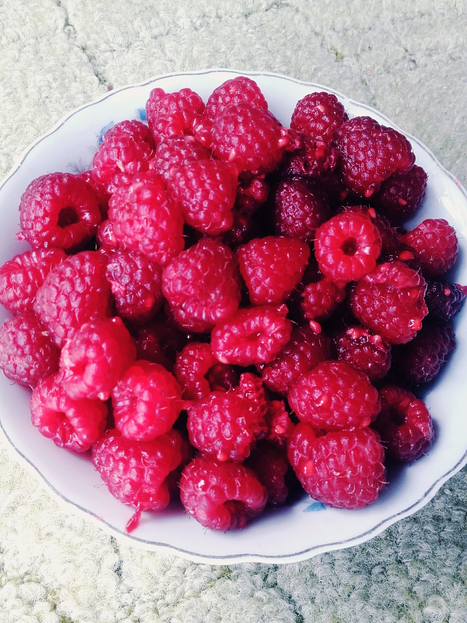 raspberries fruit summer free photo