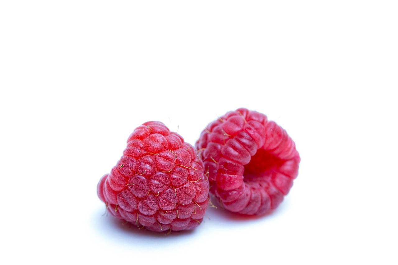 raspberries red fruits zarza free photo