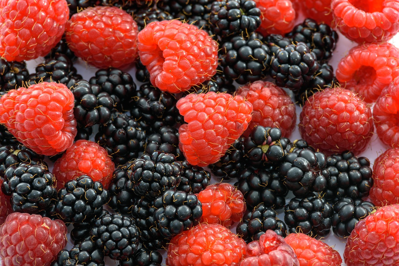 raspberries fruits of the forest blackberries free photo