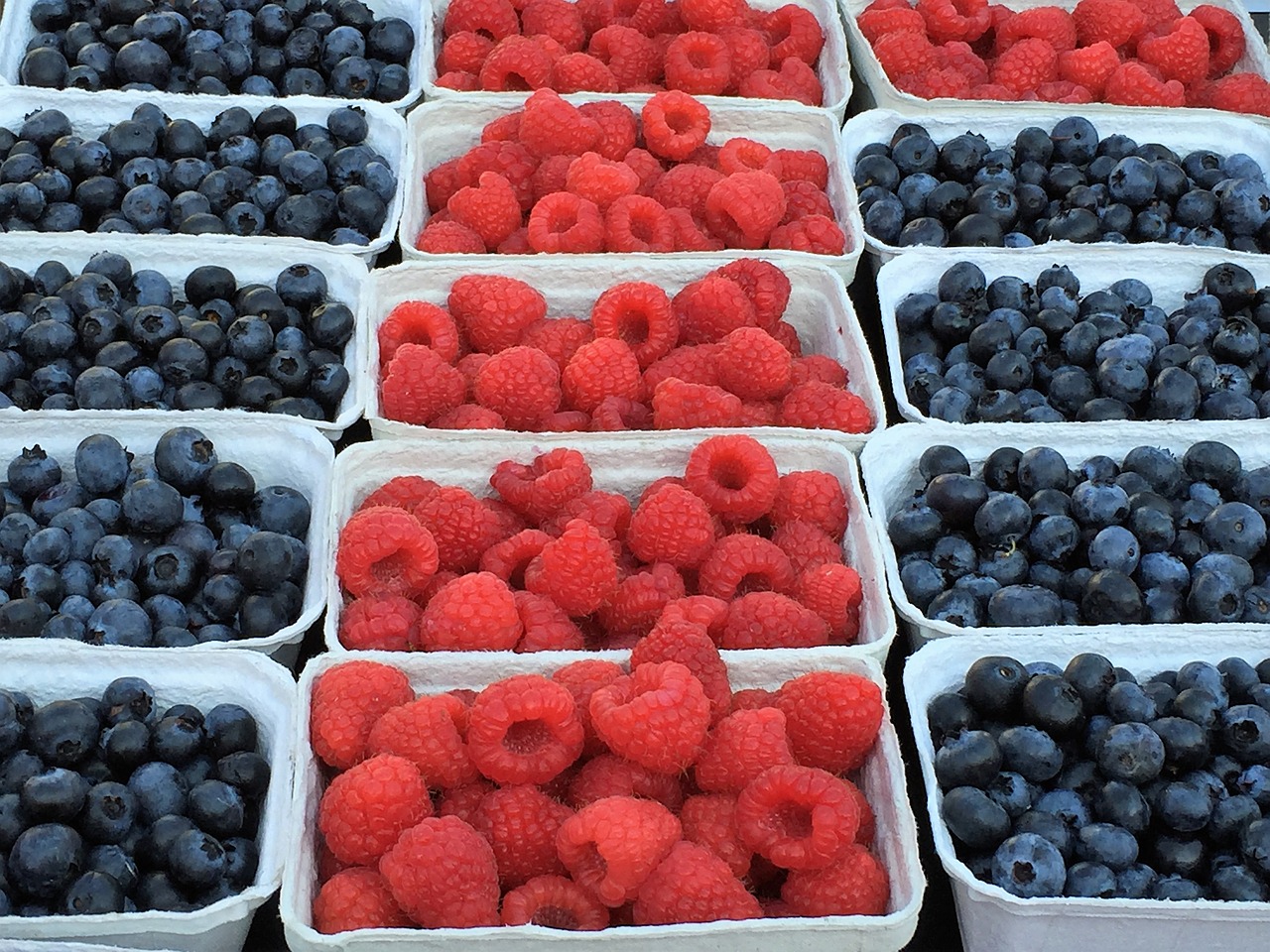 raspberries blueberries healthy free photo