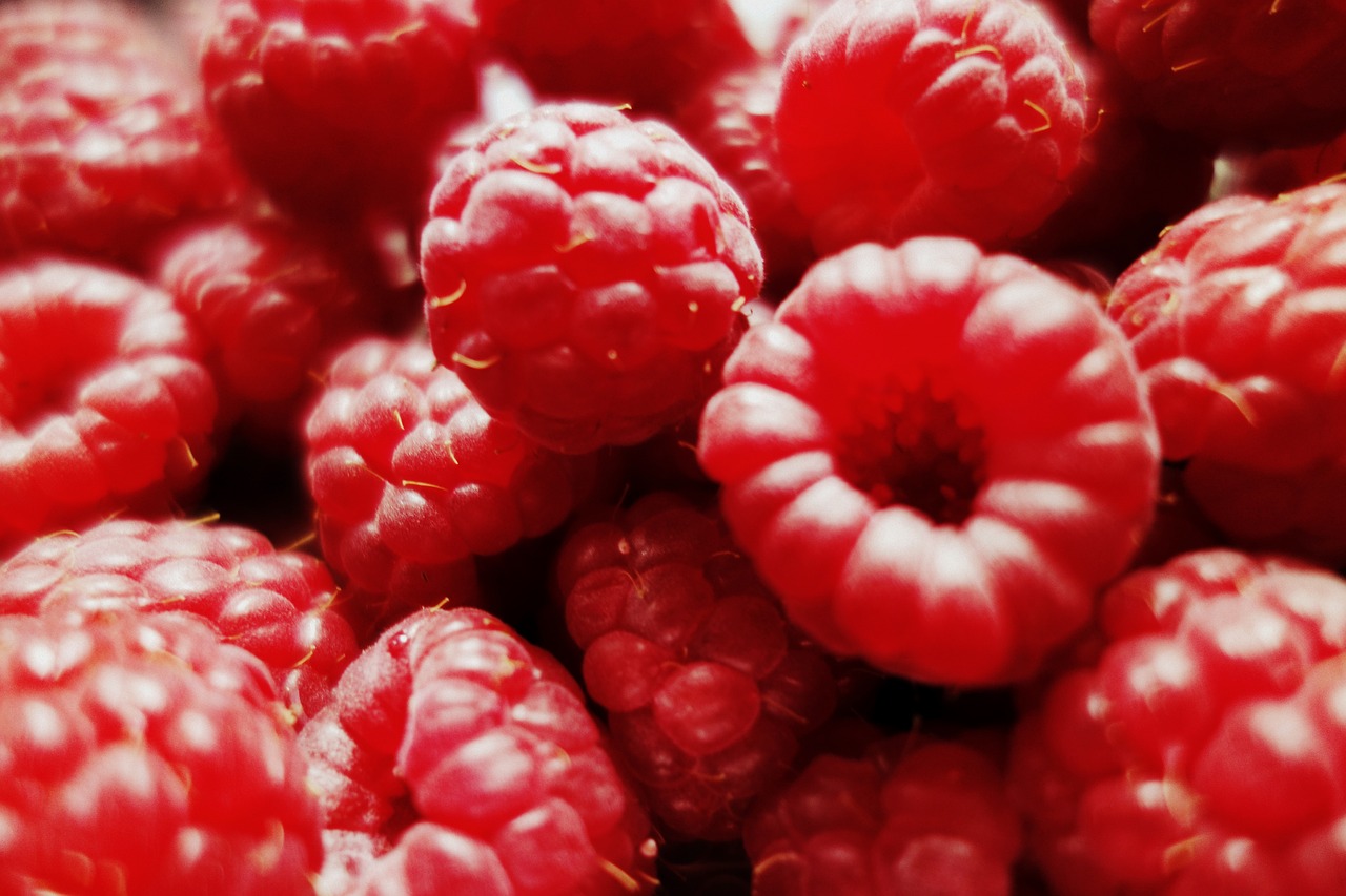 raspberries berries fruits free photo