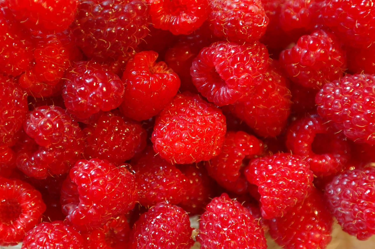 raspberries fruits fruit free photo