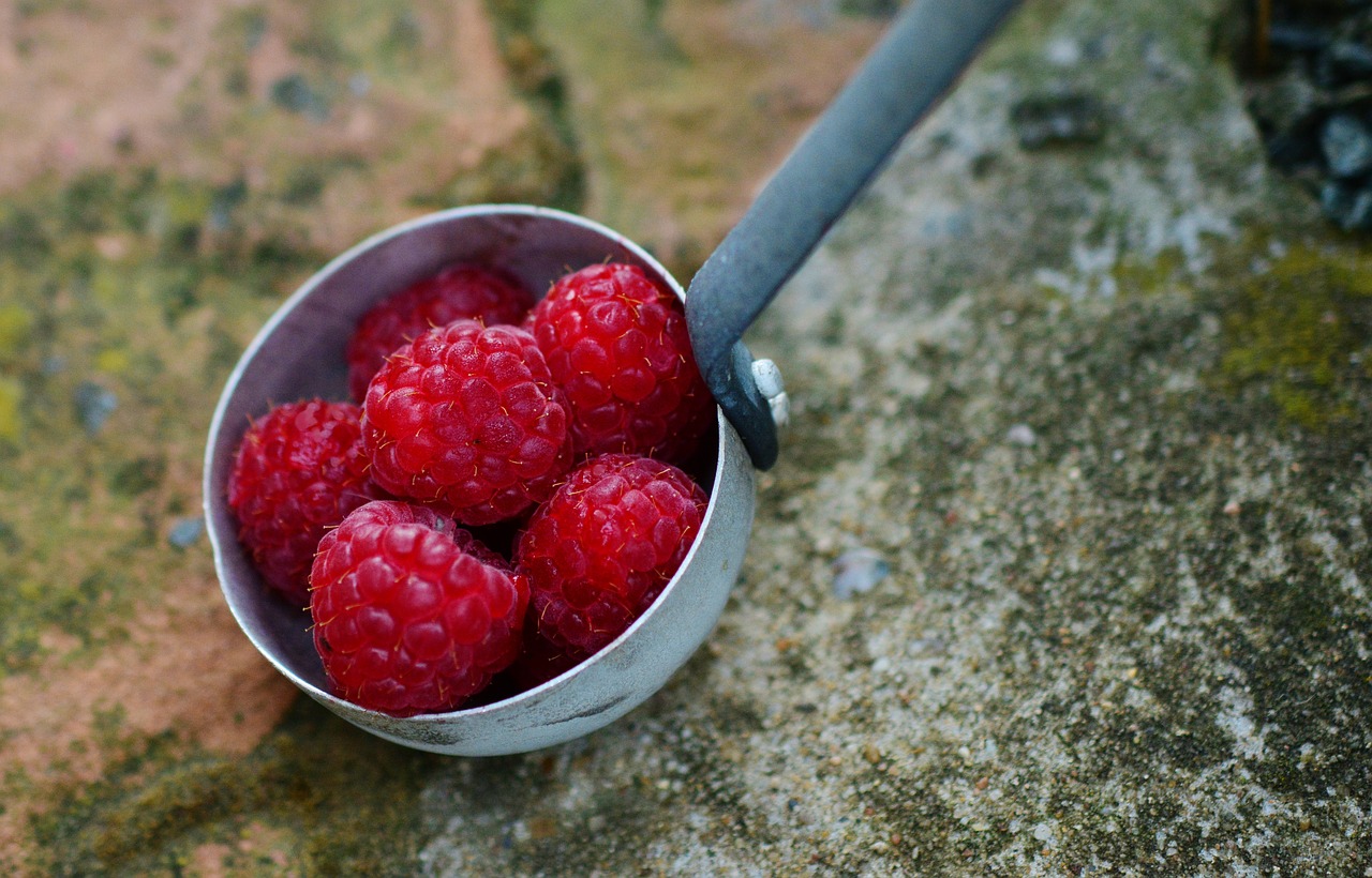 raspberries fruits fruit free photo