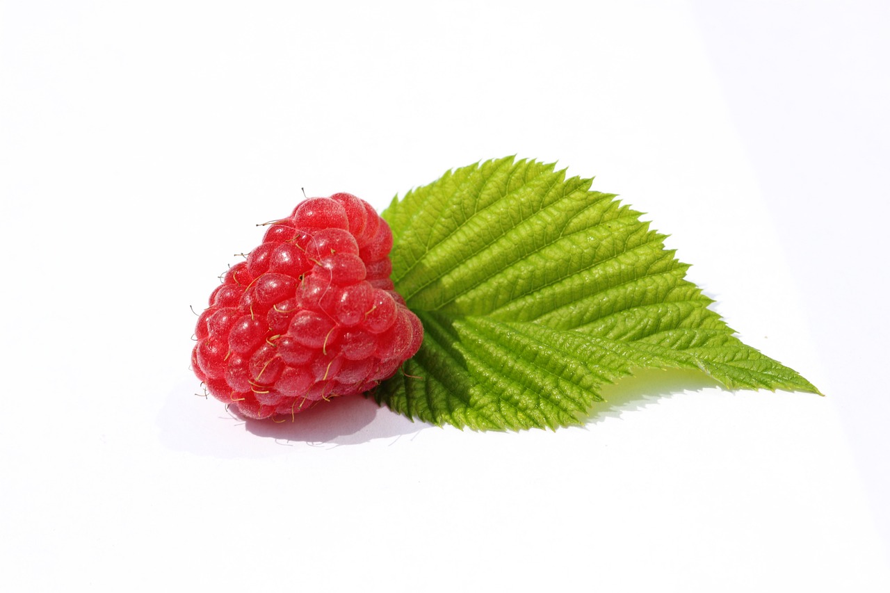 raspberries leaf green free photo