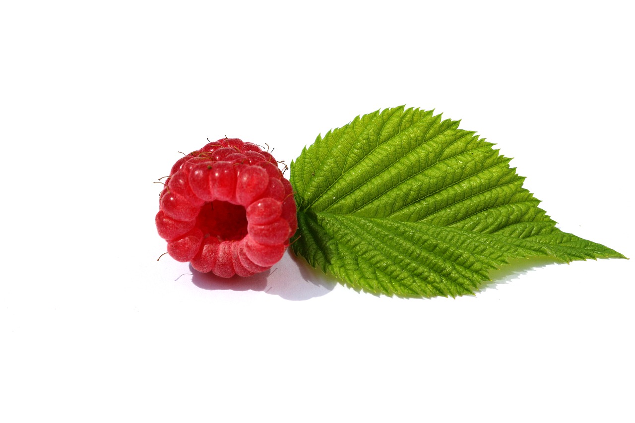 raspberries leaf green free photo