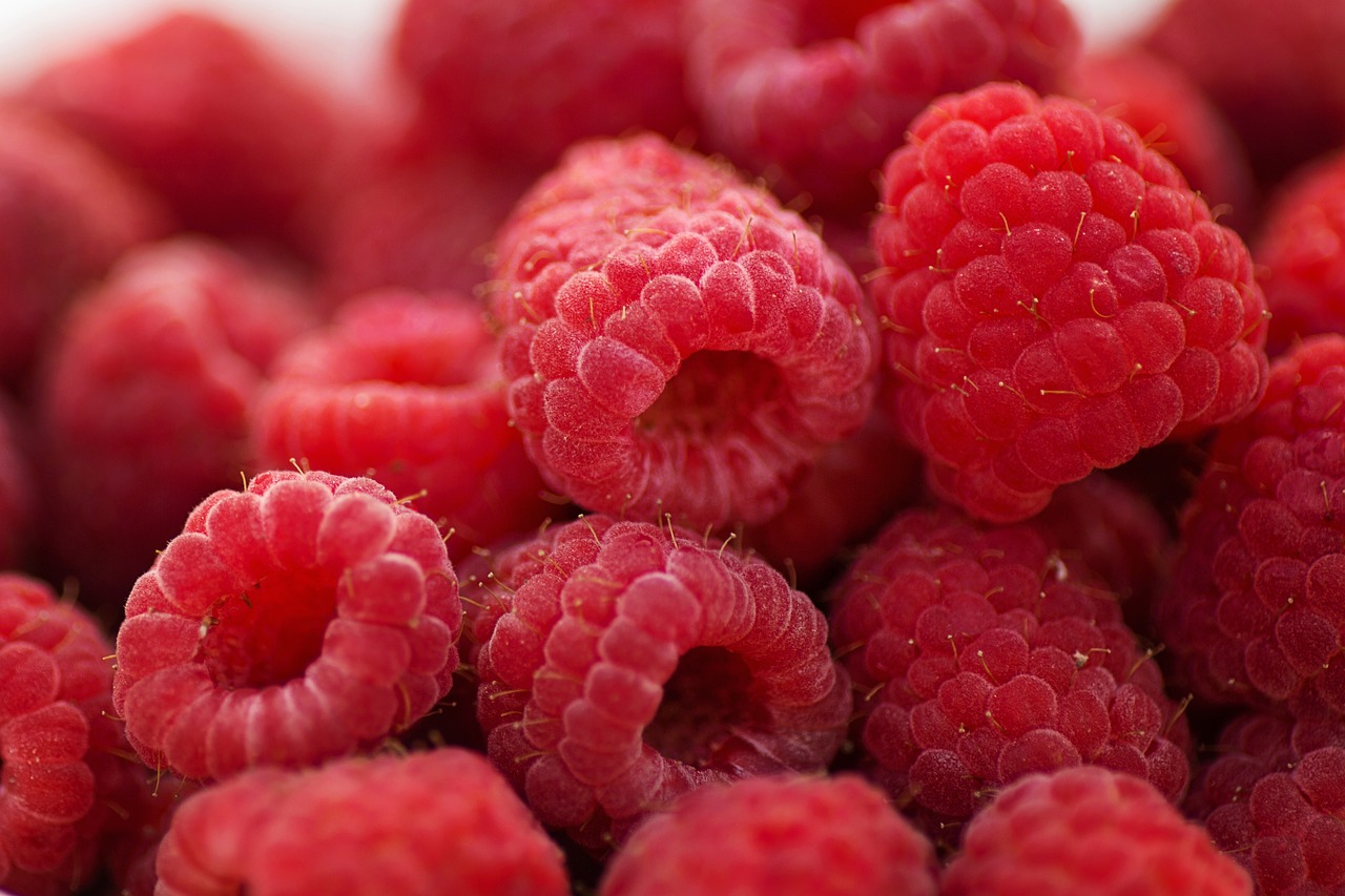 raspberries breakfast summer free photo