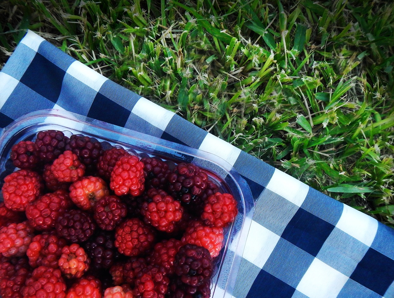raspberries blackberries picnic free photo