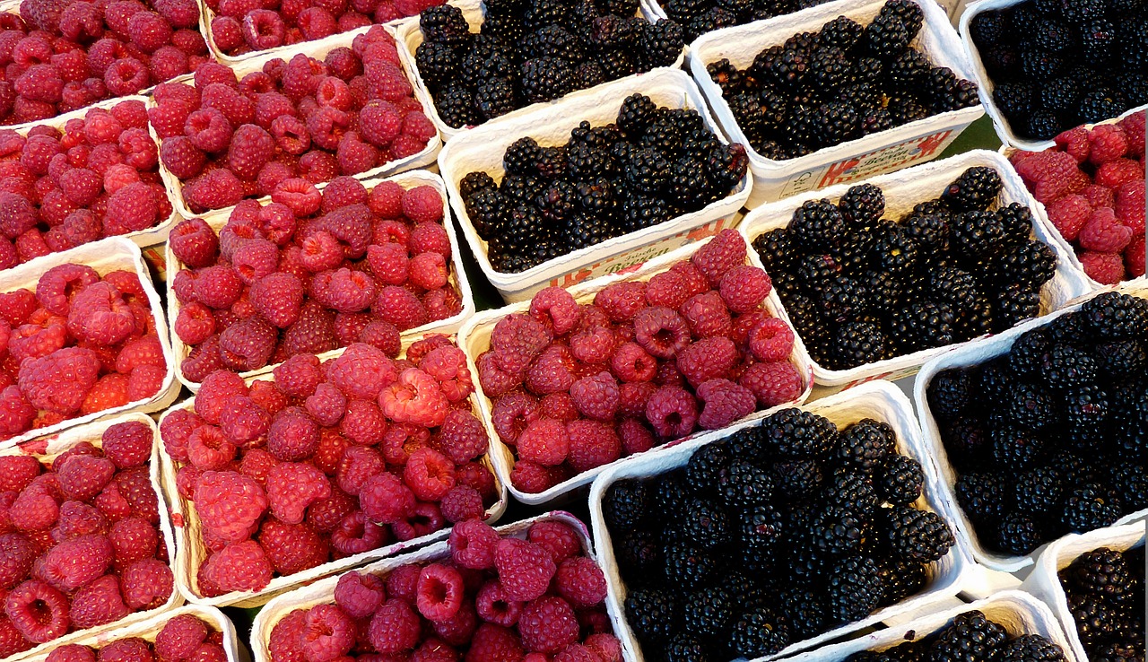 raspberries blackberries fruit free photo