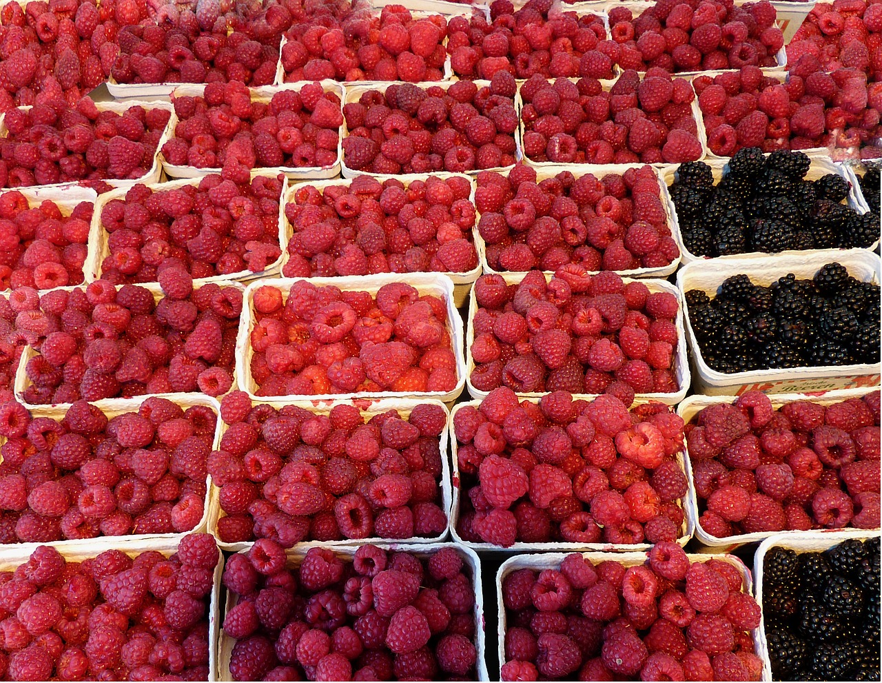 raspberries blackberries fruit free photo