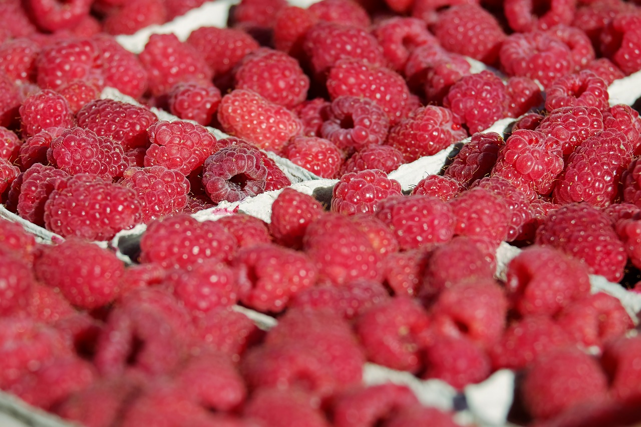 raspberries  fruits  fruit free photo