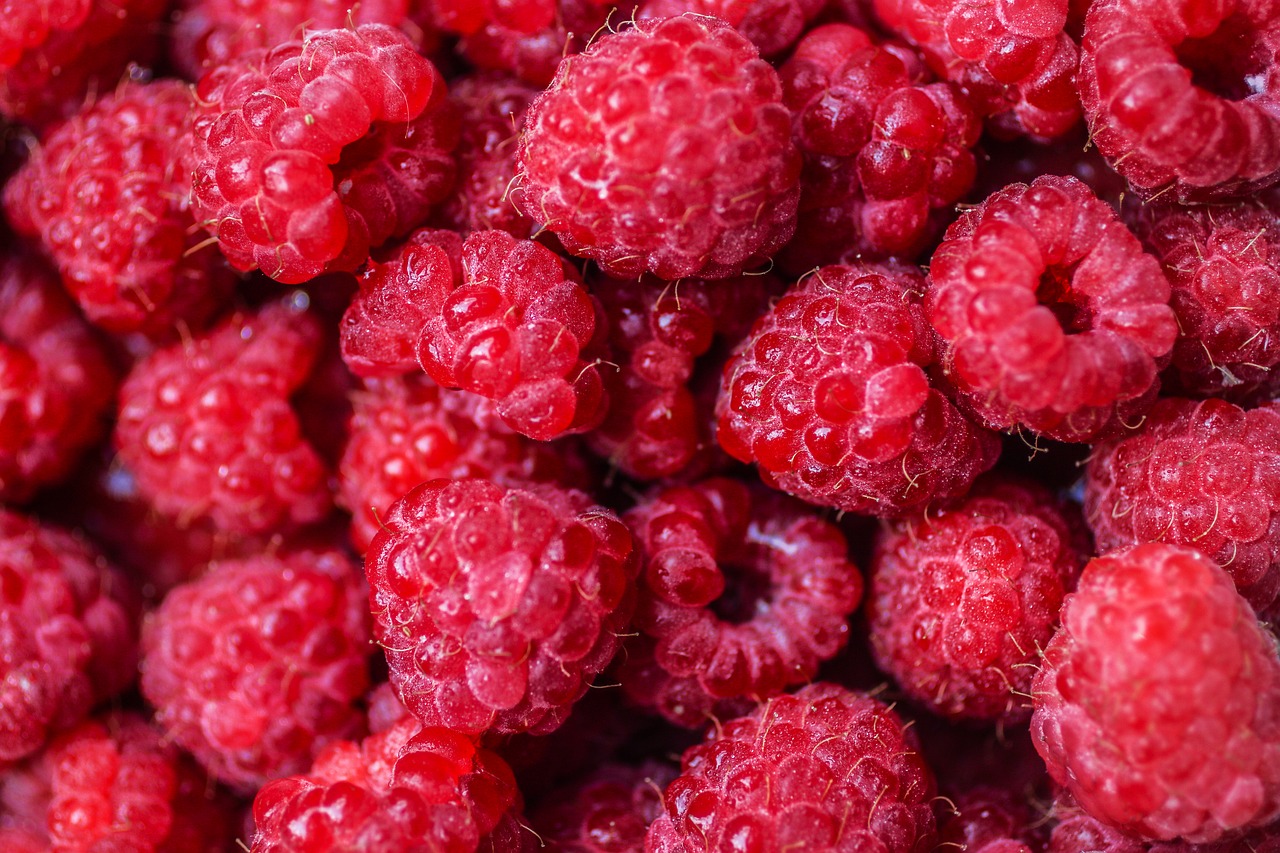 raspberries  raspberry  berry free photo