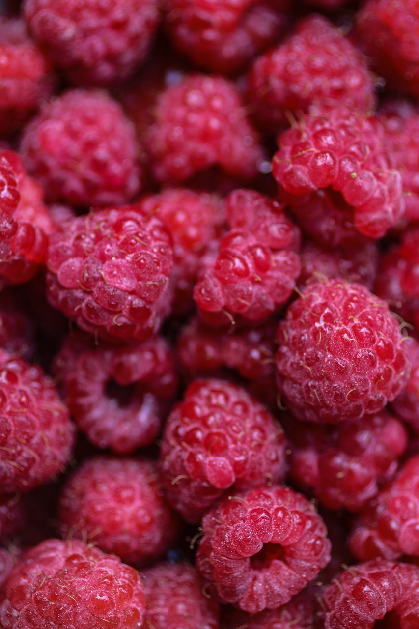 raspberries  raspberry  berry free photo