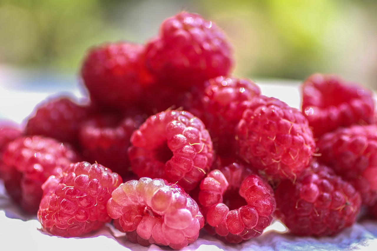 raspberries  raspberry  berry free photo