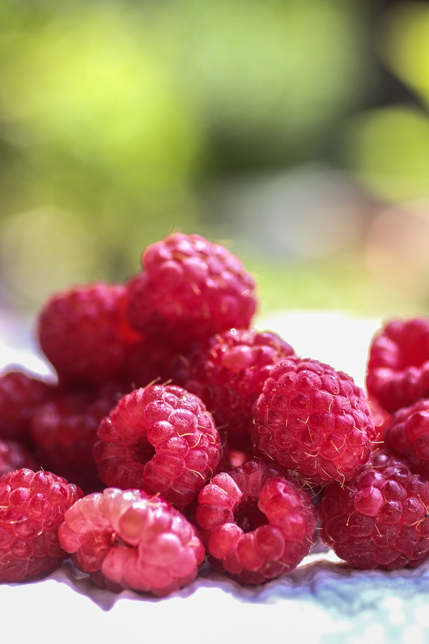 raspberries  raspberry  berry free photo