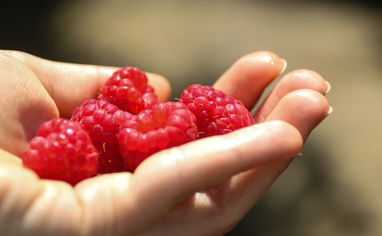 raspberries  raspberry  berry free photo