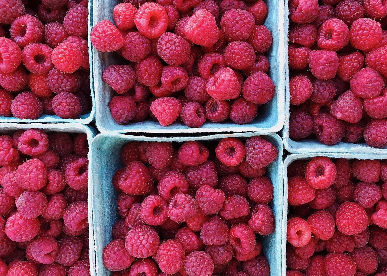 raspberries  berries  fruit free photo