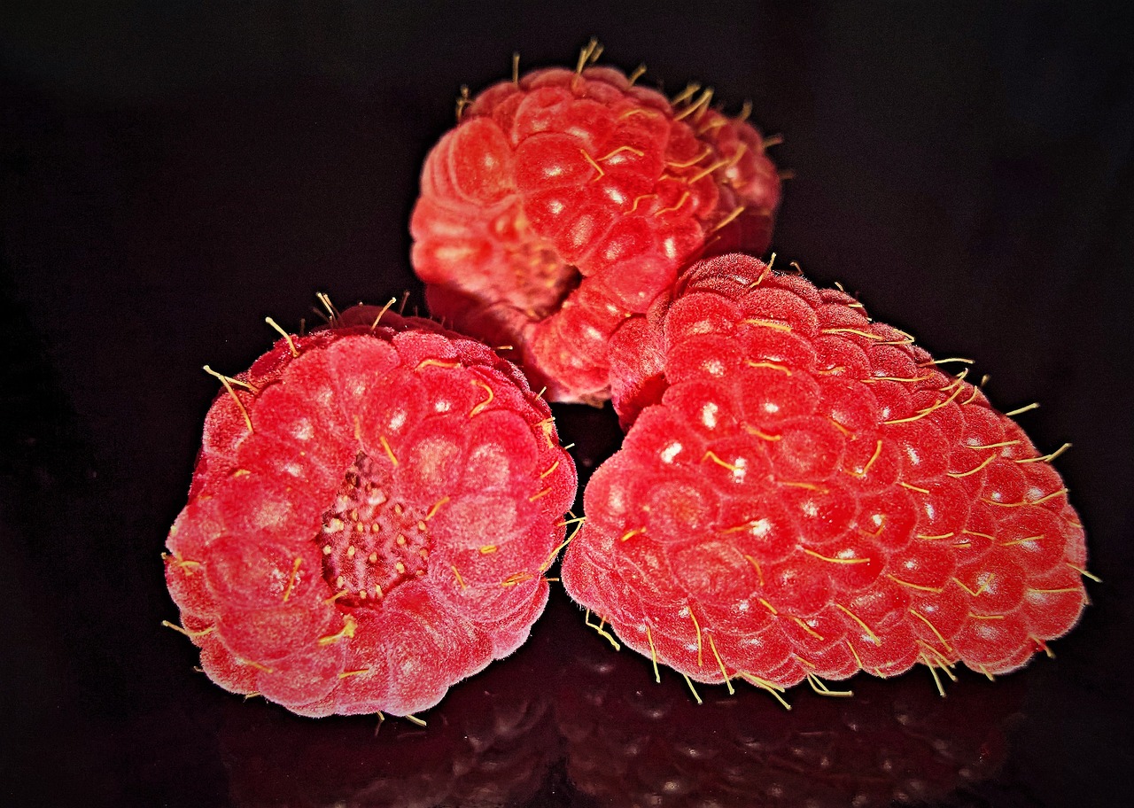 raspberries  fruits  fruit free photo