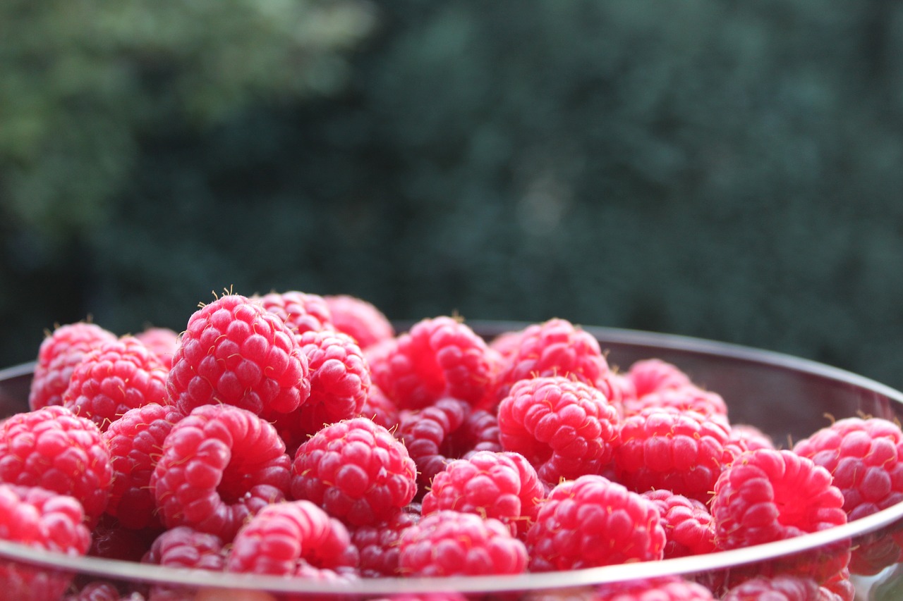 raspberries  fruit  fruits free photo