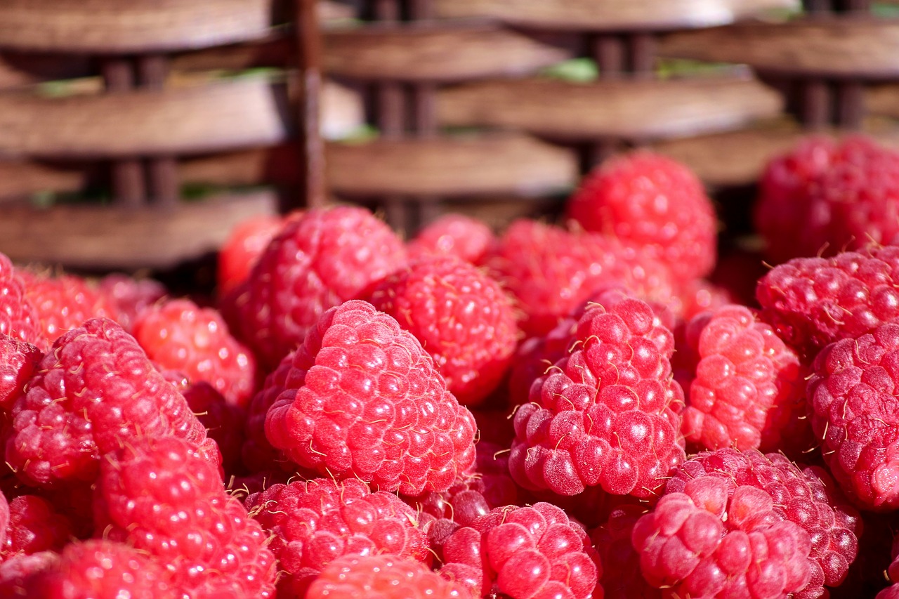 raspberries  basket  fruits free photo