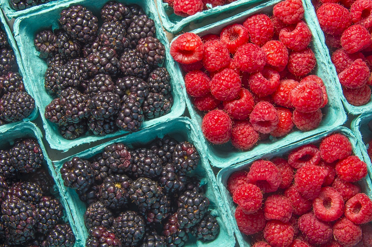 raspberries  blackberries  berries free photo