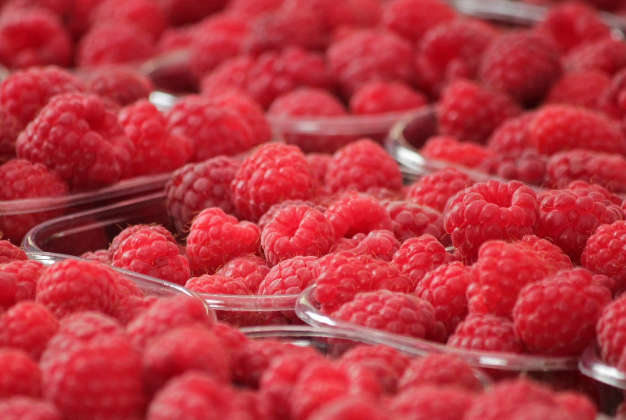 raspberries fruits berries free photo