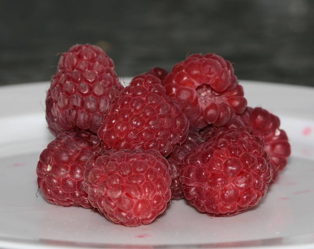 raspberries rubus idaeus berries free photo