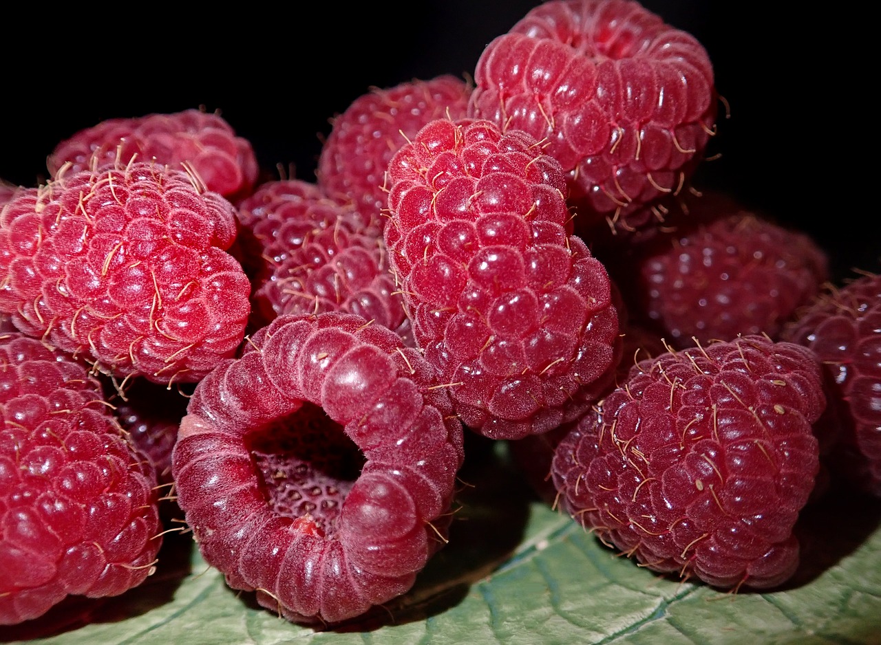 raspberries  fruit  food free photo