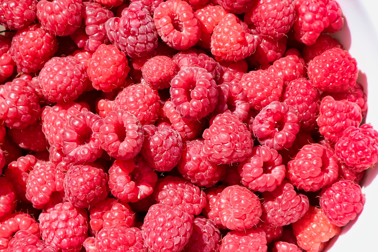 raspberries  fruit  fruits free photo