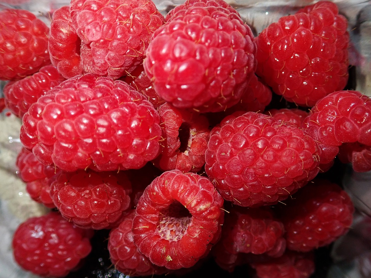 raspberries  fruit  fresh free photo