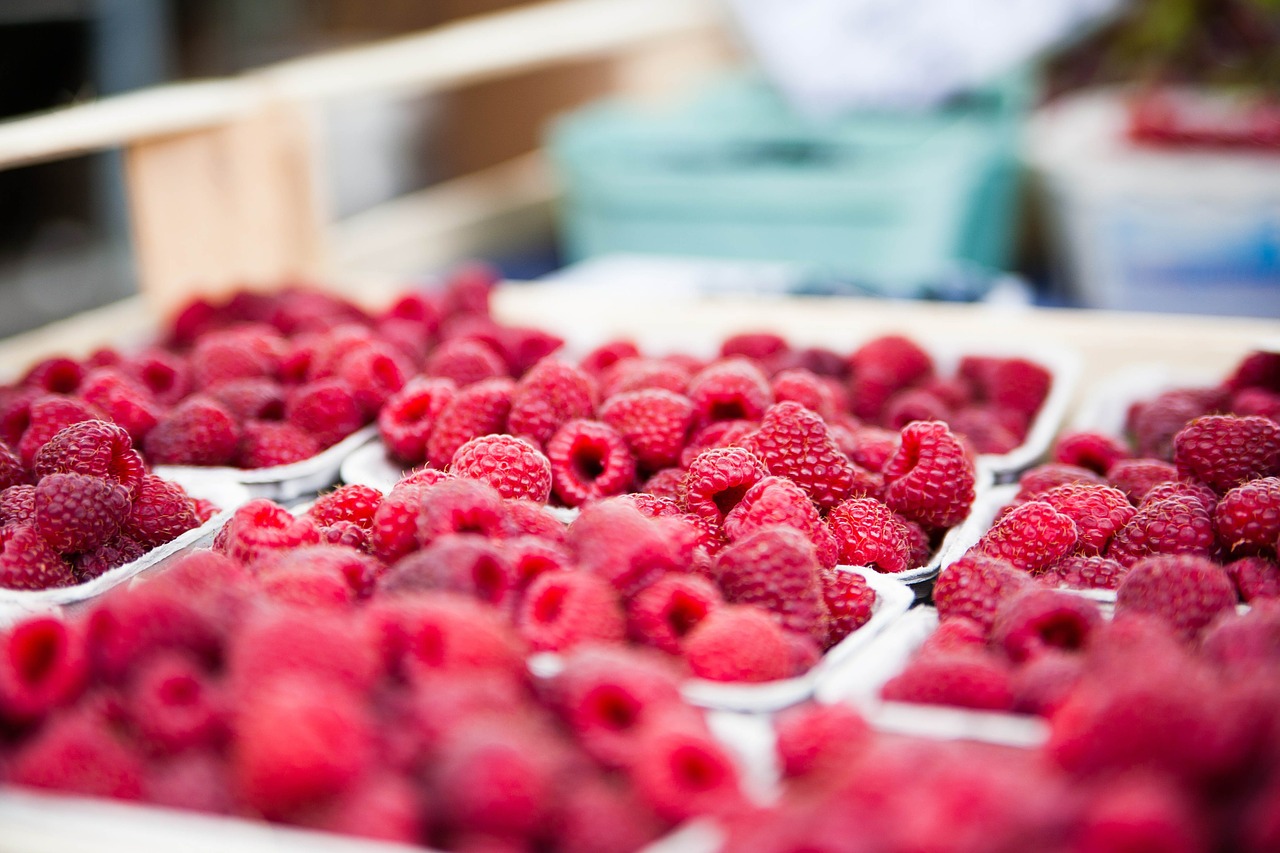 raspberries red berries free photo