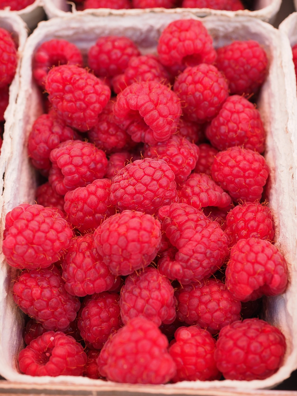 raspberries berries fruits free photo