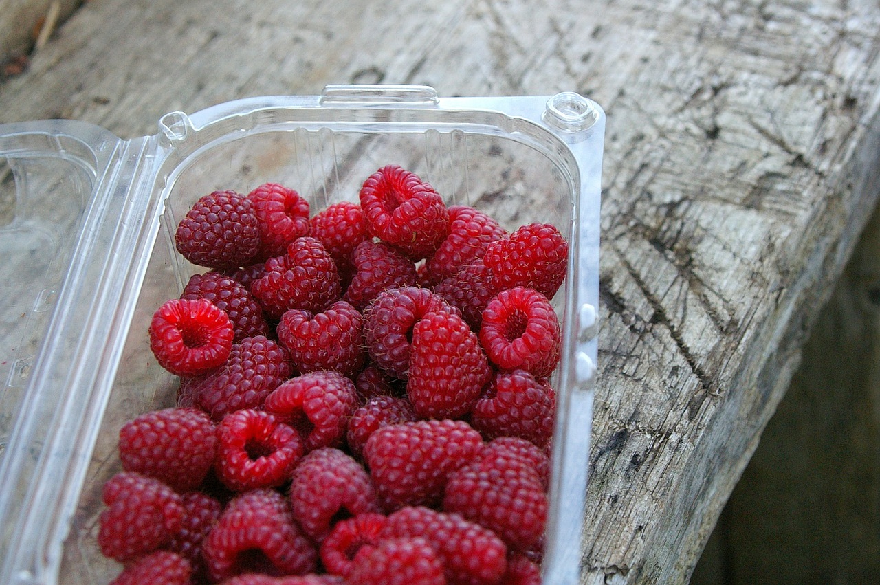 raspberries harvest nature free photo