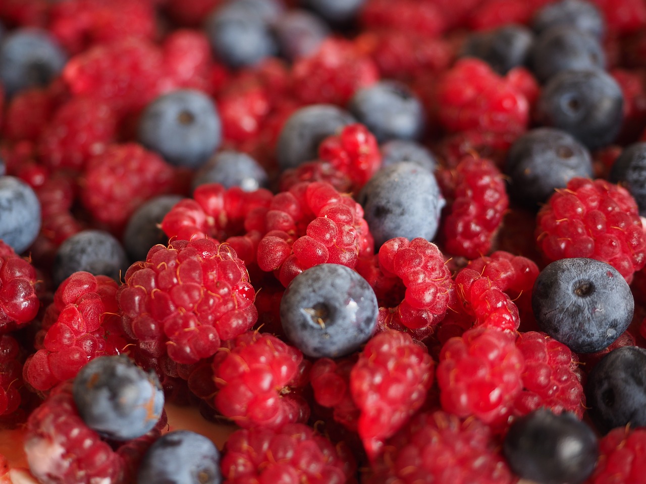 raspberries blueberries berries free photo