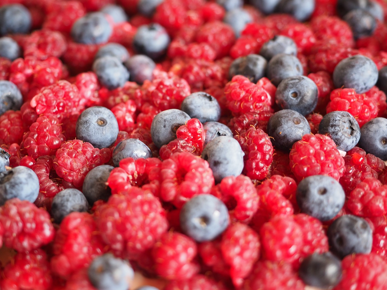 raspberries blueberries berries free photo