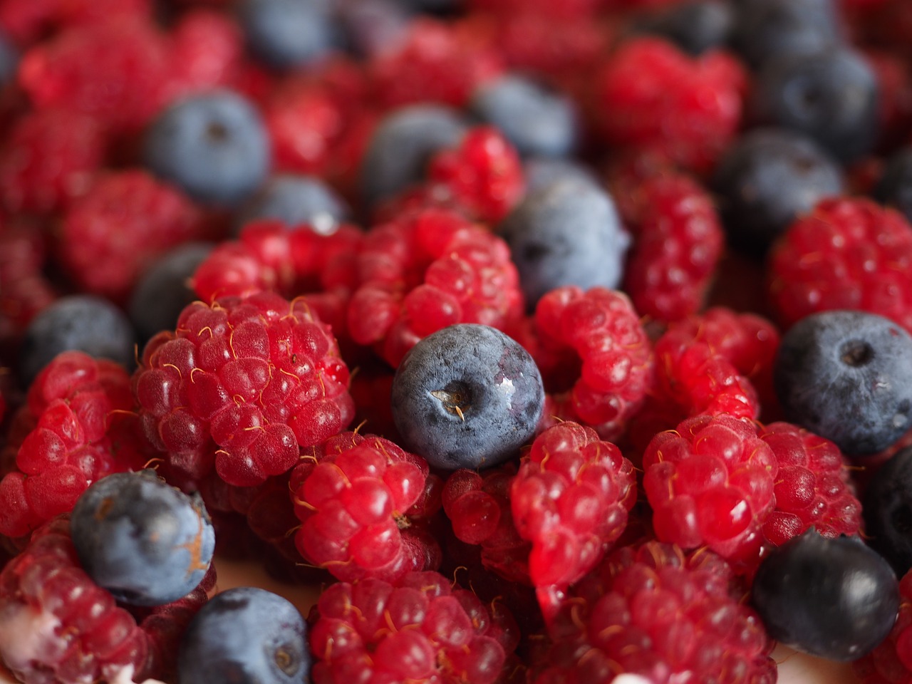 raspberries blueberries berries free photo
