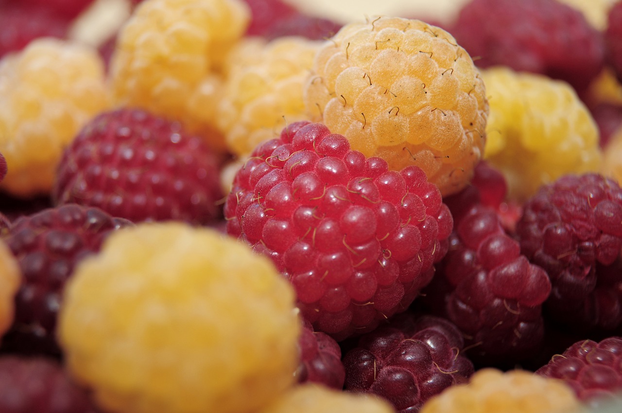 raspberries fruit dessert free photo